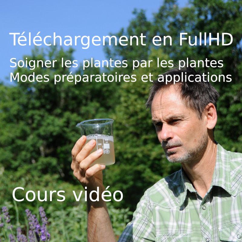 Téléchargement en FullHD