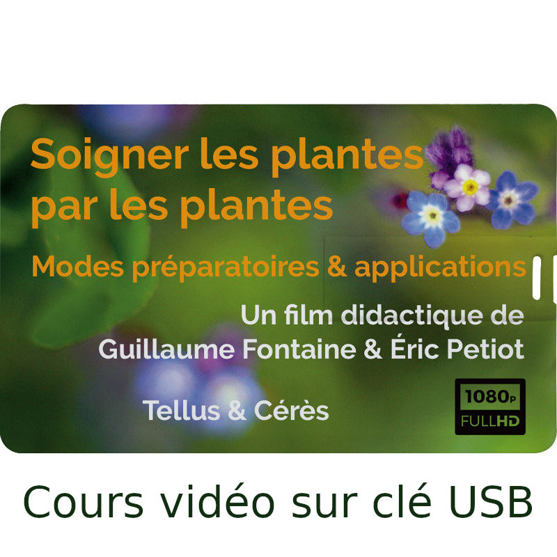 Cours vidéo sur clé USB